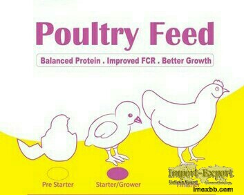 Animal Feed and Poultry Feed