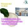 Procaine hcl Powder CAS 51-05-8 Local Anesthetics Drug Procaine hcl China