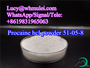 Procaine hcl Powder CAS 51-05-8 Local Anesthetics High Quality Procaine