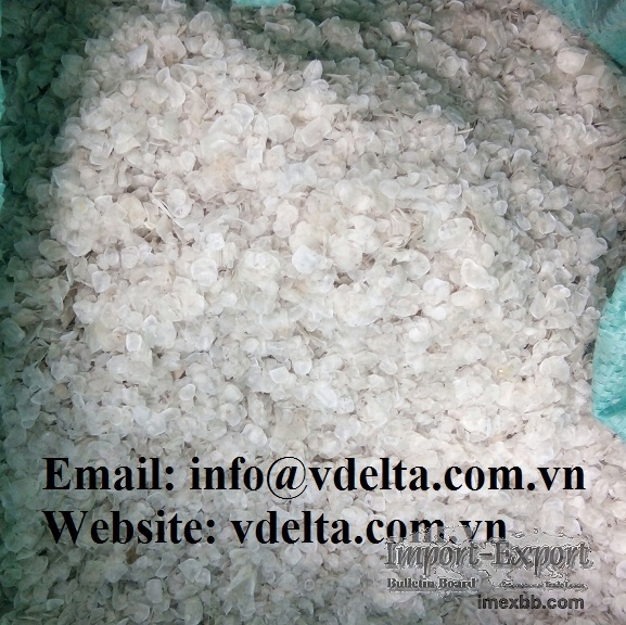 BIGH PROMOTION FISH SCALES USED FOR COLLAGEN EXTRACTING from VIETNAM