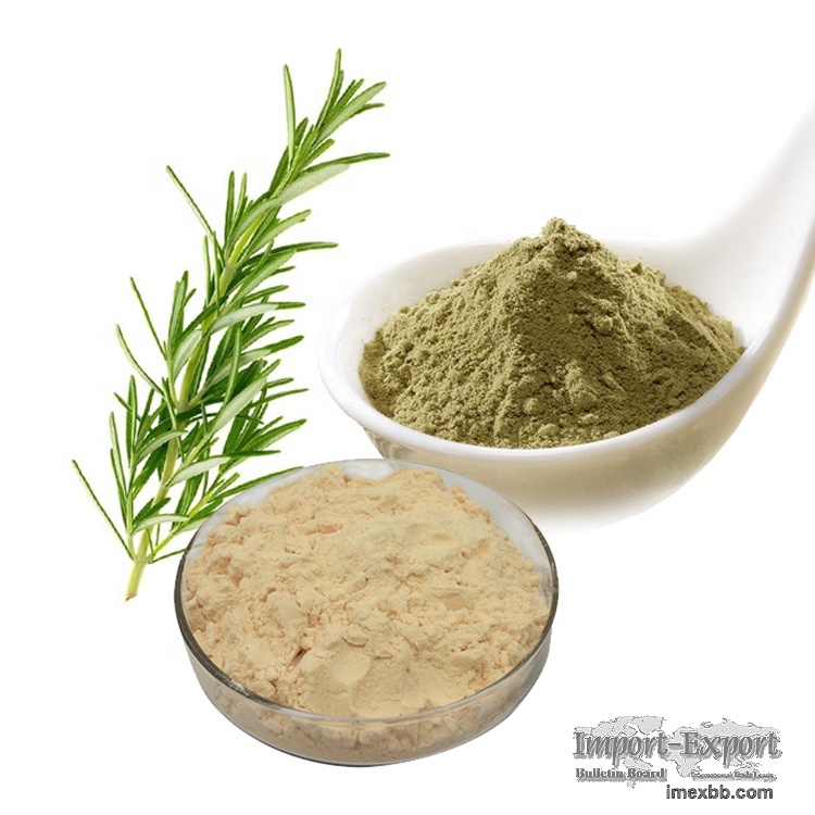 Rosemary Extract Carnosic Acid 20% 50% 60% 