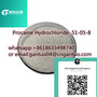 Procaine Hydrochloride  51-05-8