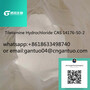 good quality Tiletamine Hydrochloride CAS 14176-50-2