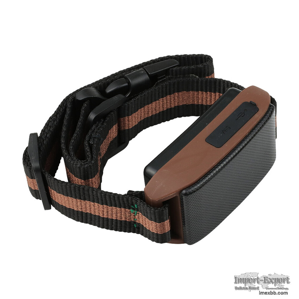 Coban New Item 2-in-1 Pet Dog Training Collar with GPS Position