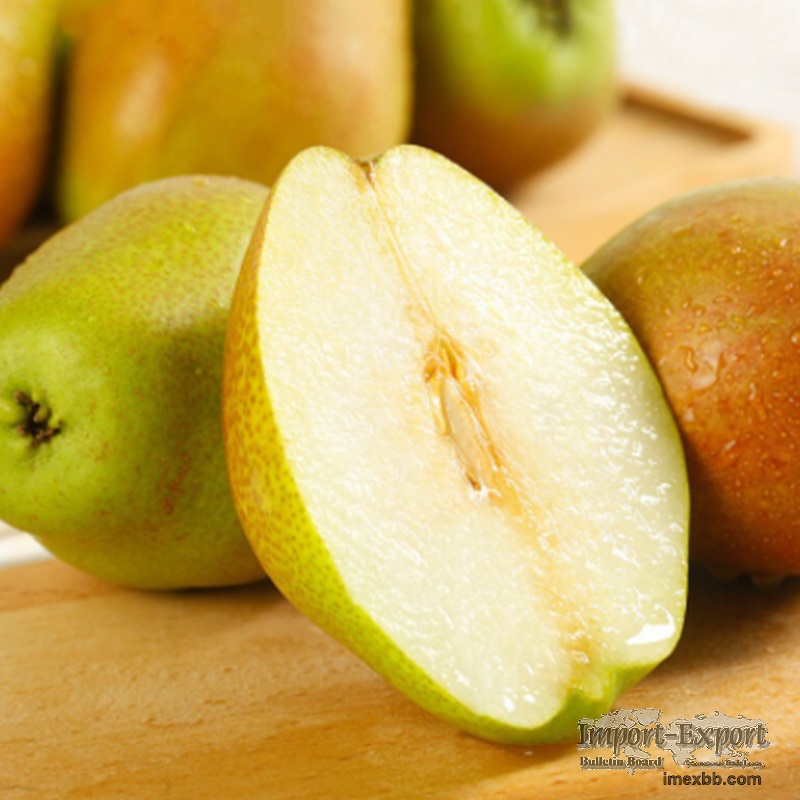 Red Fragrant Pear/Chinese Fresh Pears