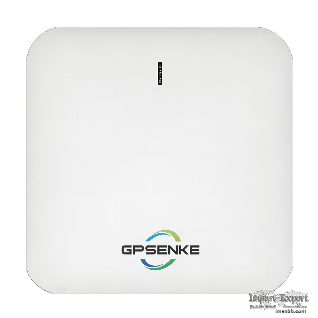 1200M Dual Band Wireless Indoor Ceiling Access Point GP-XD1200