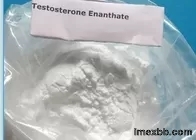 Anabolic Steroids Powder 99% Testosterone Enanthate Powder Used To Muscle B