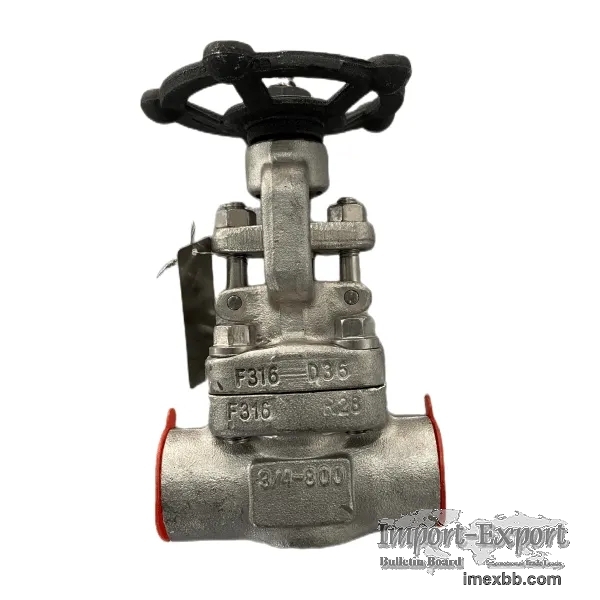 ASTM A182 F304 Gate Valve