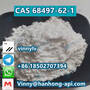 CAS 68497-62-1 99% Purity Factory Supply Pramiracetam C14H27N3O2 Bulk Price