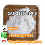 99% Purity CAS 22563-90-2 Intermediate API BMK Powder Factory Price C11H15N