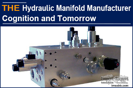 AAK Hydraulic Manifold Manufacturer Cognition and Tomorrow