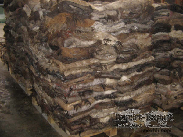 Wet Salted & Dry Salted Donkey Hides