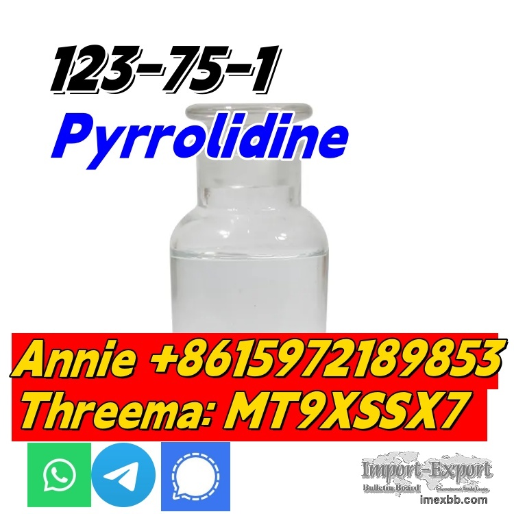  good quality Pyrrolidine CAS 123-75-1 factory supply with low price and fa