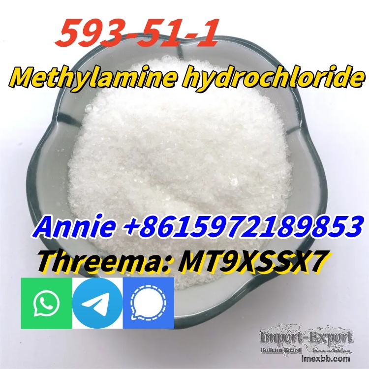 CAS 593-51-1 Methylamine hydrochloride LT-S9151 good price with high qualti