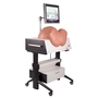 3B Scientific New SIMone Birthing Simulator