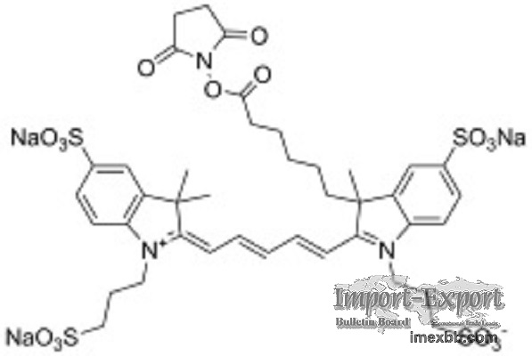 AF647 NHS Ester