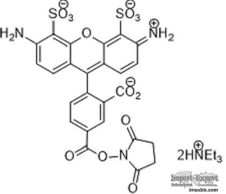 APDye 488 NHS ester (Alexa Fluor® 488 NHS equivalent)