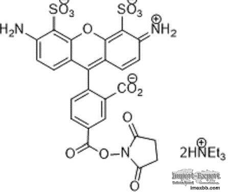 APDye 488 NHS ester (Alexa Fluor® 488 NHS equivalent)