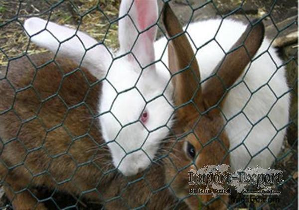 Poultry Netting