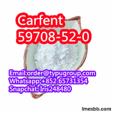 Good quality Carfent cas 59708-52-0  Whatsapp:+852 65731354