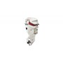 2019 Evinrude E TEC Engines 115 HP E115DCX White (WATER SPORT EQUIP)