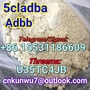 ADBB 5cladba 5CL-ADB powder supplier 5cl raw materials vendor