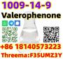 Buy Hot sale good quality Valerophenone Cas 1009-14-9 with fast shipping