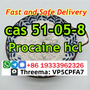 Procaine hydrochloride cas 51-05-8 suppliers and manufacturers