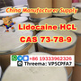 Lidocaine hydrochloride cas 73-78-9 powder Supply Sample Best Price