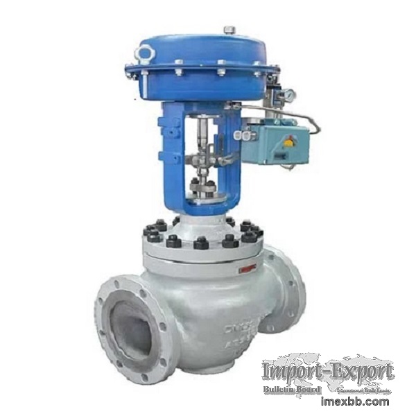 Globe Control Valve