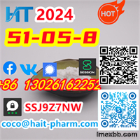 51-05-8 Top Quality Lowest Price Procaine Hydrochloride 13026162252