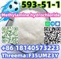 CAS 593-51-1 Methylamine hydrochloride LT-S9151 good price with high qualti