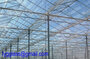 4mm tempered low iron glass/patterned glass for green house and sun room
