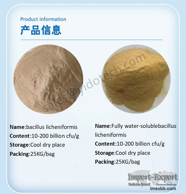 Factory Sell Top Quality Biological Products Bacillus Licheniformis