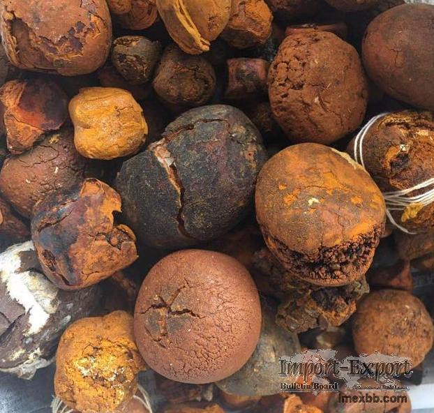  Buy cow /Ox Gallstone Available On Stock Now @ (WhatsApp: +237673528224)