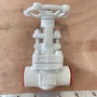 ASTM A105N Rising Stem Gate Valve