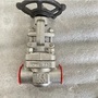 ASTM A182 F316L Gate Valve