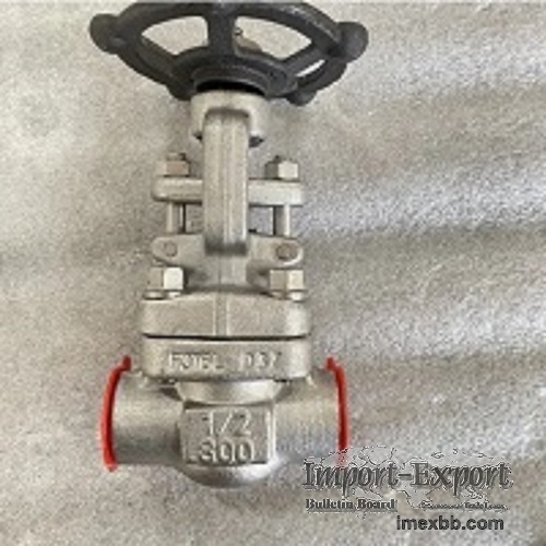 ASTM A182 F316L Gate Valve