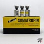 SOMATROPINE HUMAN GROWTH HORMONE INJECTION