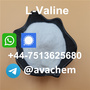 China supplier L-Valine powder 72-18-4,Whatsapp/Singal:+44-7513625680