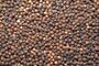 Black Pepper G/L 500/550 Dried Black Pepper