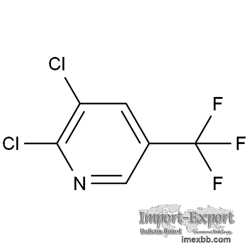 2,3-Dichloro-5-(trifluoromethyl)pyridine (DCTF Chemical)