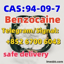 Benzocaine powder / benzocaine base cas 94-09-7