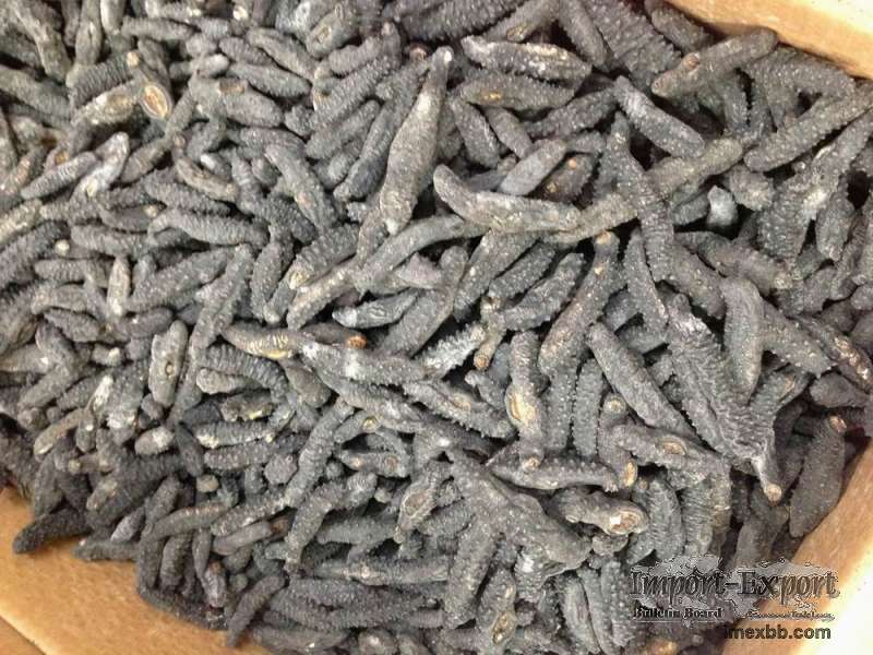 Dried Sea Cucumber for Sale