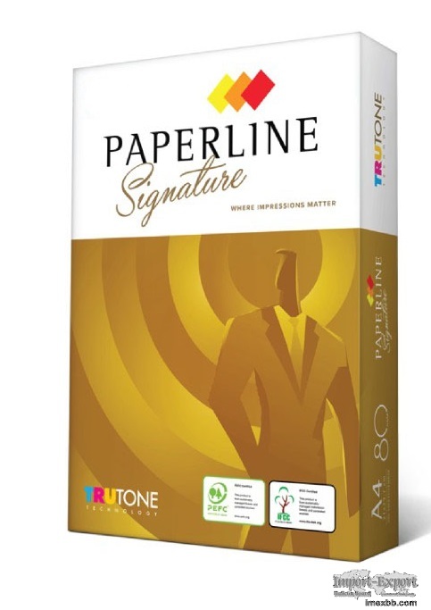 Paperline Signature A4 80 gsm copy paper ready stock