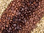 Raw and Roasted Coffee Beans, Arabica Green Coffee Washed and Unwashed