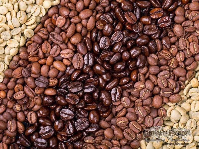 Raw and Roasted Coffee Beans, Arabica Green Coffee Washed and Unwashed