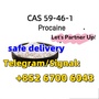 Procaine CAS 59-46-1 WhatsApp/Signal/Telegram:+852 61374953