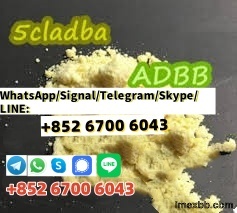 Supply Sample 5cladba powder 24 hours delivery  +852 61374953