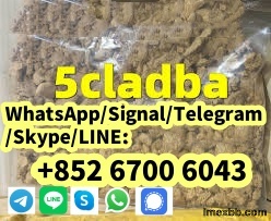 Strong Original 5cladba adbb old 5cl-adb-a adbb  +852 61374953